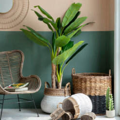 Faux Banana Palm Large