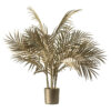 Boulevard Potted Palm Tree