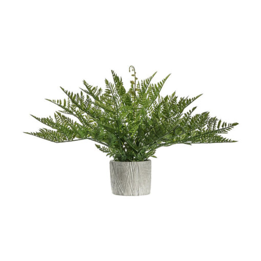 Potted Fern with Zigzag Pot