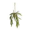 Hanging Rhipsalis with Rustic Pot