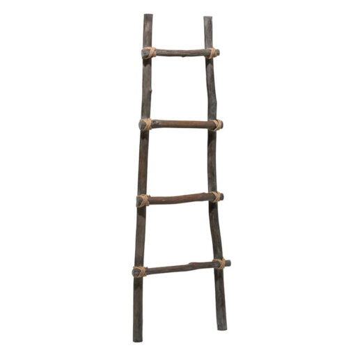 Ladder Rough 5 Rungs