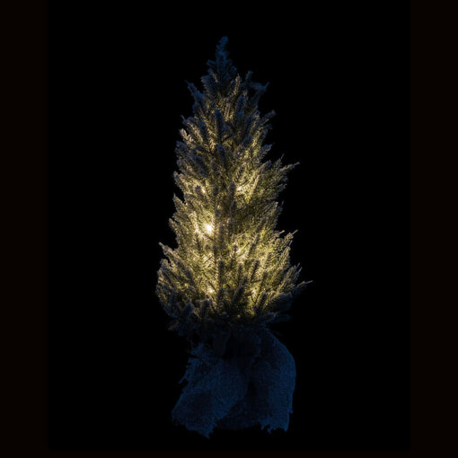 Xmas Tree LED Jute Medium