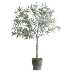 Large Fleur Olive Tree