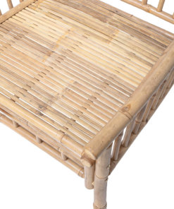 Sole Bamboo Lounge Chair