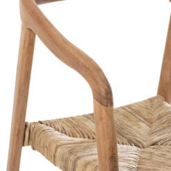 Ana Teak Wood Brown Chair