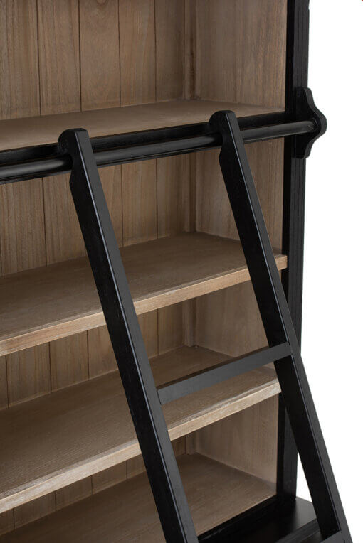 Wood Library Cabinet & Ladder